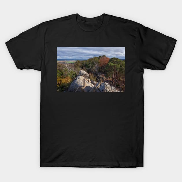 Devil's Wall, rocks, Blankenburg, Harz, Saxony-Anhalt, Germany T-Shirt by Kruegerfoto